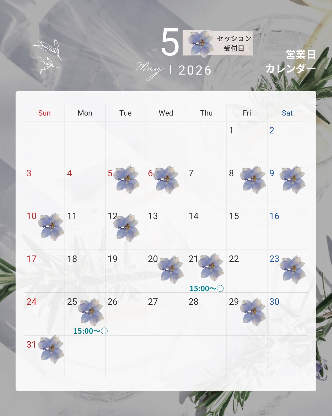 2026年5月〜セッション受付日
